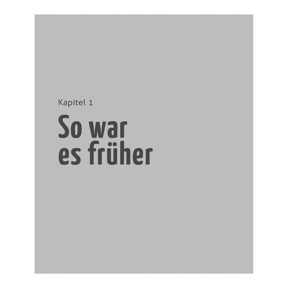 Buch: Die Hausschlachtung, HEEL Verlag