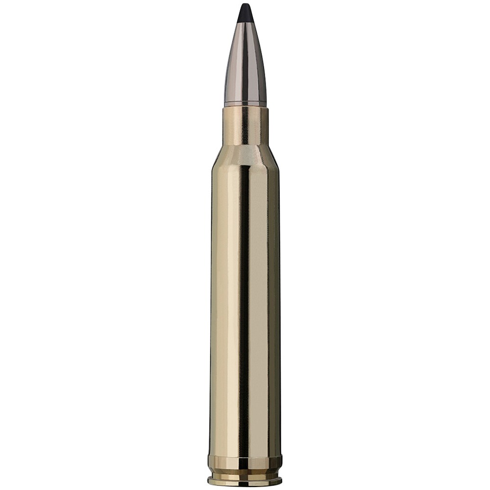 .300 Win. Mag. Speed Tip Professional 10,7g/165grs., RWS