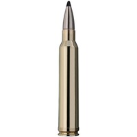 .300 Win. Mag. Speed Tip Professional 10,7g/165grs., RWS