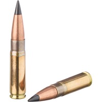 .300 AAC Blackout TAC-TX BT 7,8g/120grs., Barnes