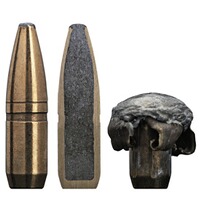 .30-06 Spr. Super Hammerhead SP 11,7g/180grs., Sako