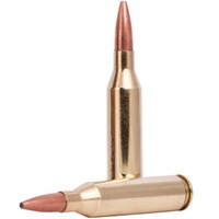 .243 Win. Fusion 6,2g/95grs., Federal Ammunition