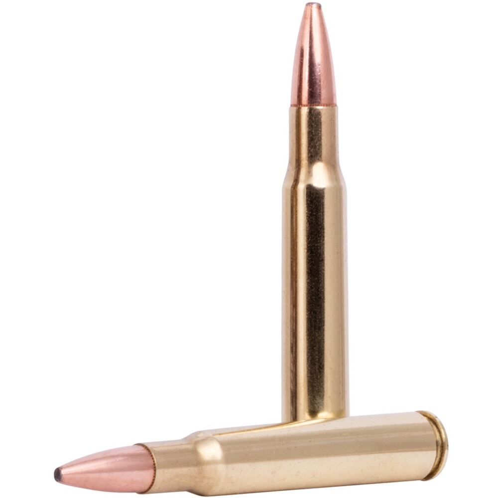 .30-06 Spr. Fusion 10,7g/165grs., Federal Ammunition