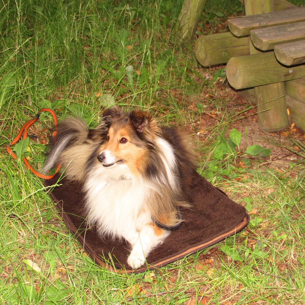 Hundebett Mobil, Niggeloh