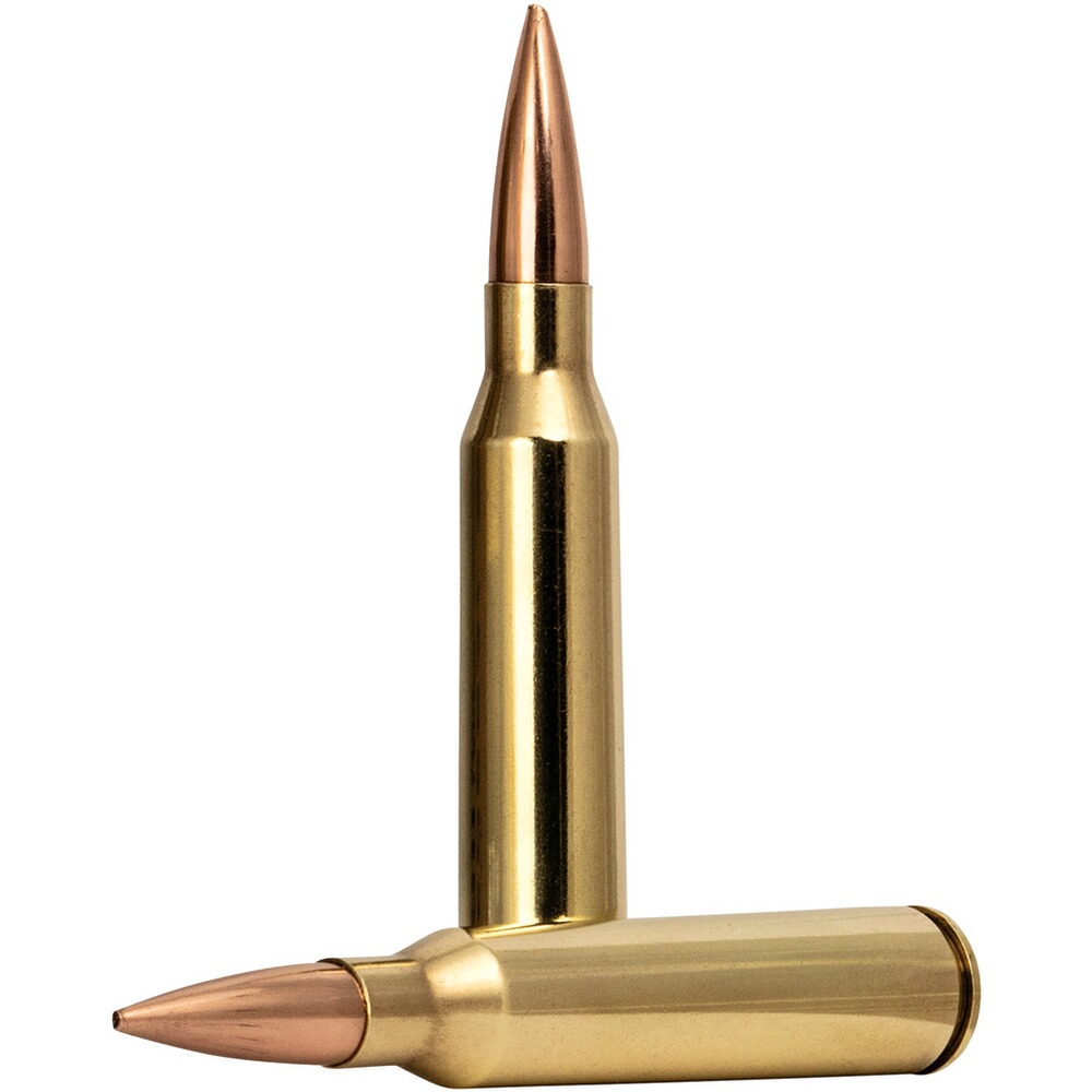 .338 Lapua Mag. Premium Gold Medal Sierra Match King 16,2g/250grs., Federal Ammunition