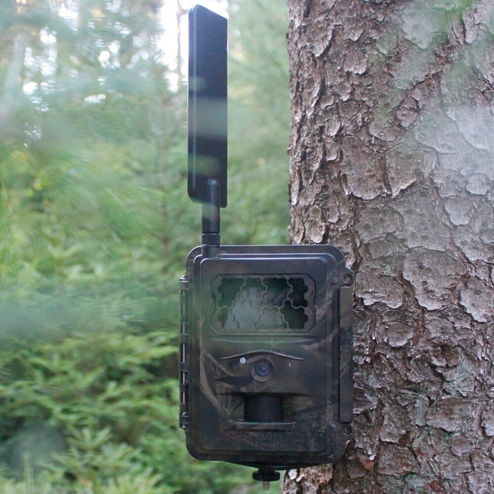 Wildkamera Special-Cam LTE, SEISSIGER