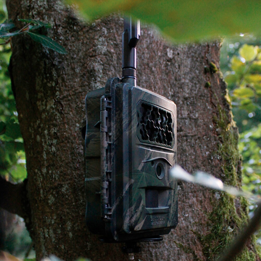 Wildkamera Special-Cam LTE, SEISSIGER