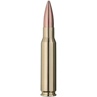 .308 Win. Scorion 10,9g/168grs., RWS