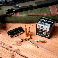 .223 Rem. Screen-Ammo SCR Zink 2,6g/40grs., Sellier & Bellot