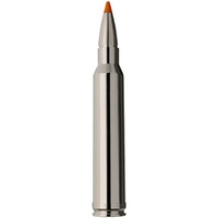 .300 Win. Mag. HIT Short Rifle 10,7g/165grs., RWS