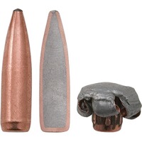 Geschosse .308 11,7g/180grs. Fusion, Federal Ammunition