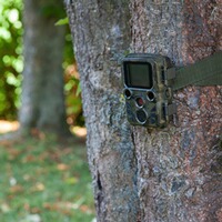 Wildkamera Mini Full HD 20 MP, Berger & Schröter