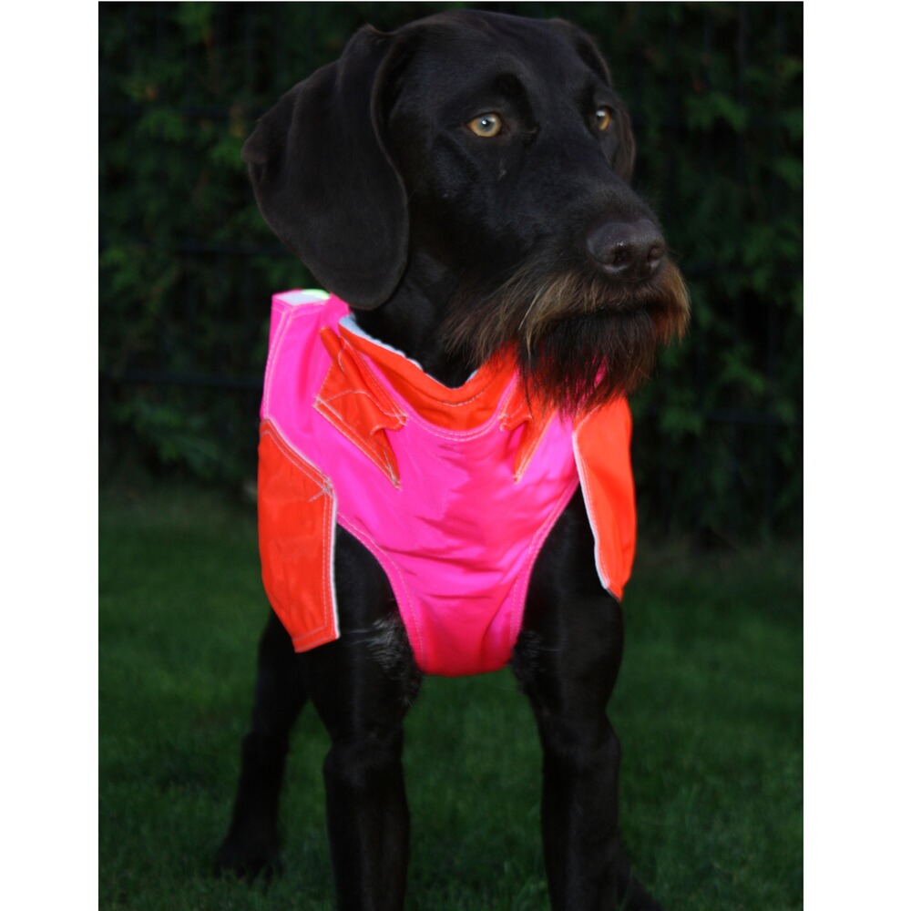 Hundeschutzweste Standard, Out Dog