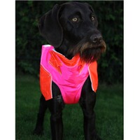 Hundeschutzweste Standard, Out Dog