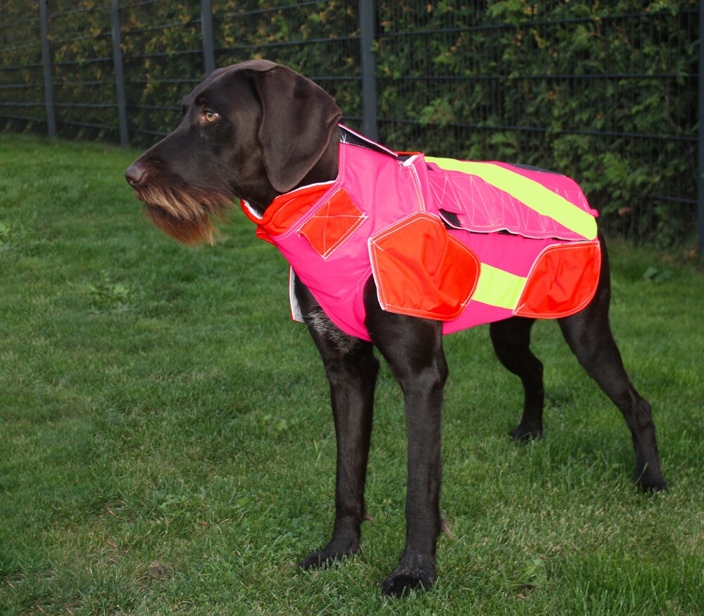 Hundeschutzweste Standard, Out Dog