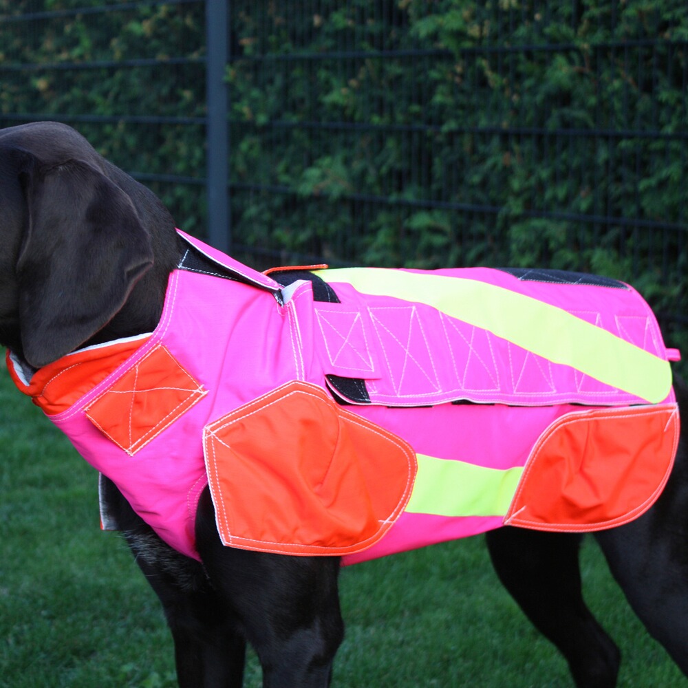 Hundeschutzweste Standard, Out Dog