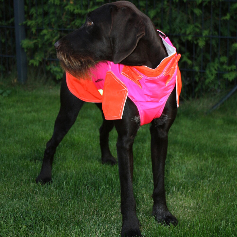 Hundeschutzweste Standard, Out Dog