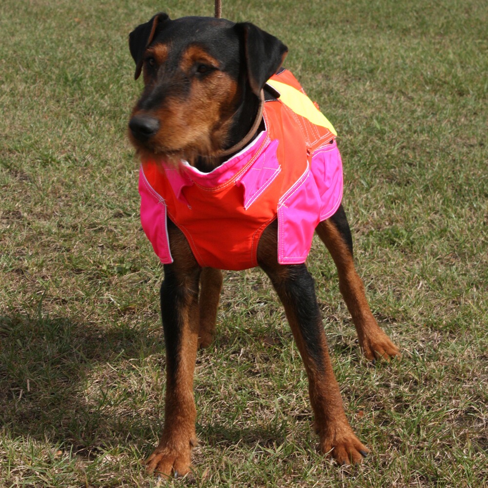 Hundeschutzweste Standard, Out Dog