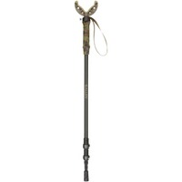 Zielstock Axial Monopod, Allen