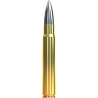 9,3x62 Screen-Ammo SCR Zink 10,3g/159grs., Sellier & Bellot