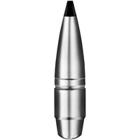 .30-06 Spr. Speed Tip Professional Short Rifle 10,7g/165grs., RWS