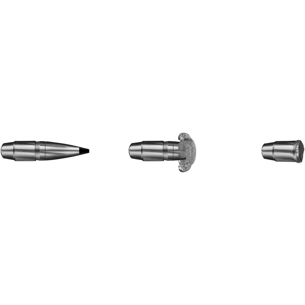 .30-06 Spr. Speed Tip Professional Short Rifle 10,7g/165grs., RWS
