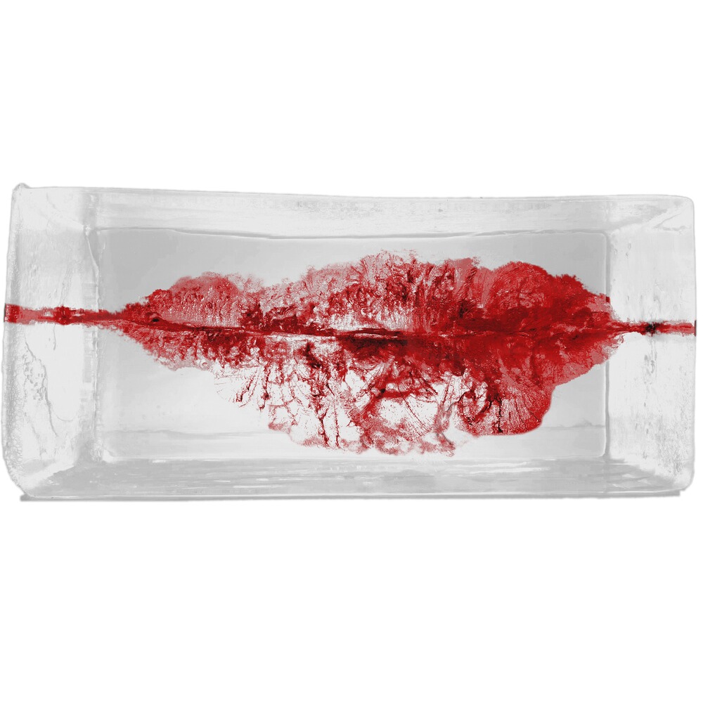 .308 Win. Star 10,7g/165grs., Geco