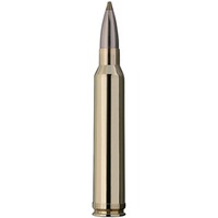 .300 Win. Mag. Evolution Green 9,0g/139grs., RWS