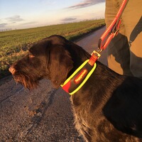 Schweißhalsung Trail Ultra, Niggeloh