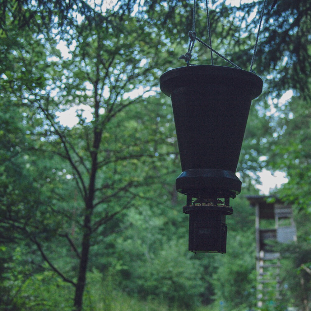 Futterautomat Professional digital, Berger & Schröter