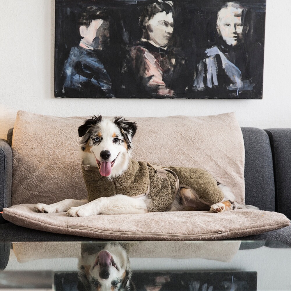 Hundedecke FlexDog Mat, Siccaro