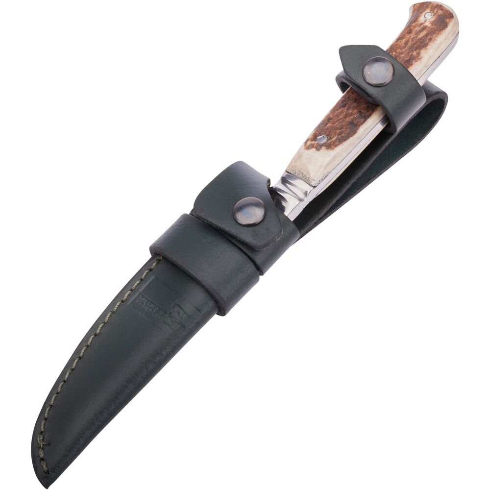 Messer Bayerischer Nicker, Parforce