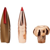 .45-70 Gov. Leverevolution Monoflex 16,2g/250grs., Hornady