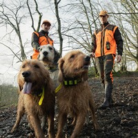 Hundeortungsgerät Alpha 200 K – Handgerät, GARMIN