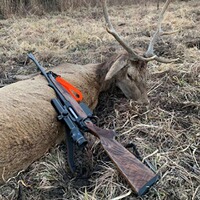 Gewehrschlaufe SH2 Drückjagd, Sauenhammer