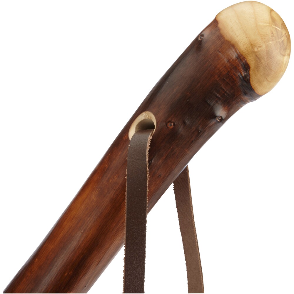 Wanderstock Wurzelstock, GASTROCK