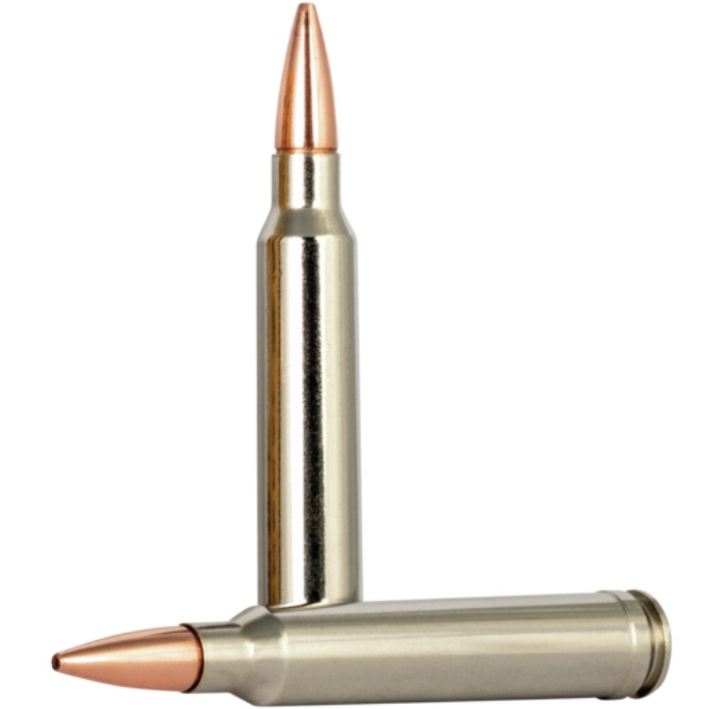 .300 Win. Mag. Vital-Shok Barnes TSX 10,7g/165grs., Federal Ammunition