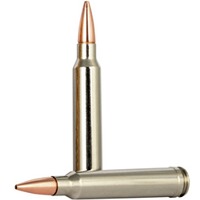 .300 Win. Mag. Vital-Shok Barnes TSX 10,7g/165grs., Federal Ammunition