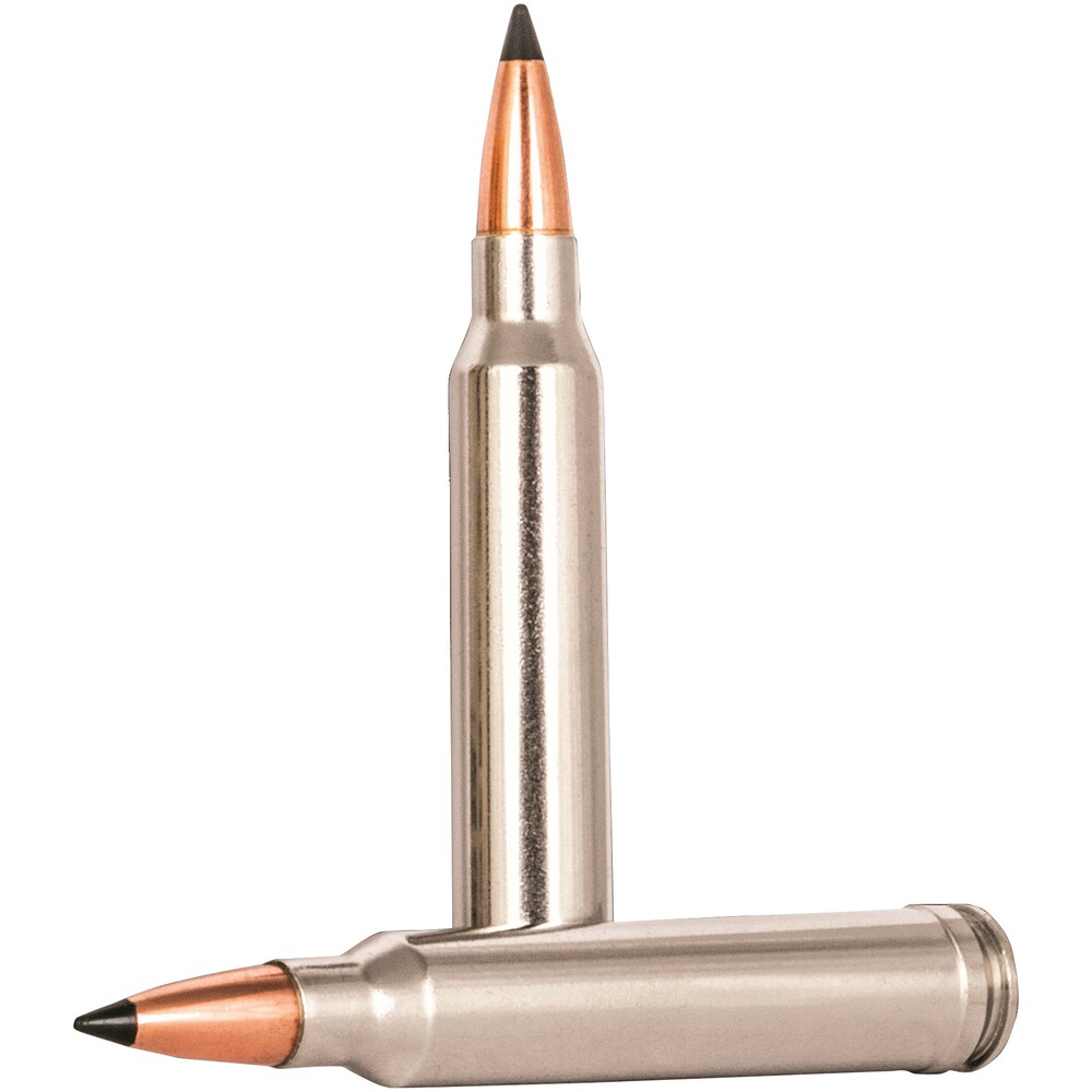 .300 Win. Mag. Trophy Copper bleifrei 10,7g/165grs., Federal Ammunition