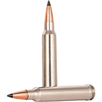 .300 Win. Mag. Trophy Copper bleifrei 10,7g/165grs., Federal Ammunition