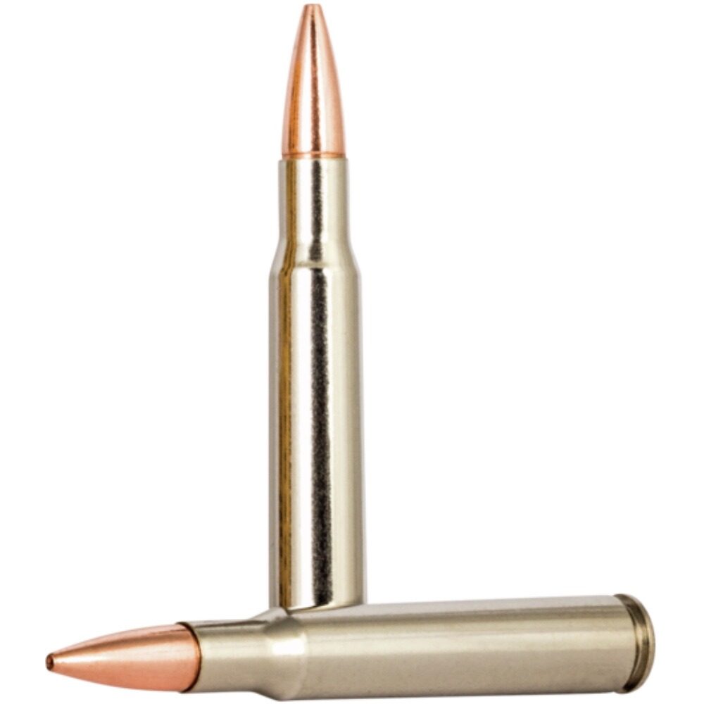 .30-06 Spr. Vital-Shok Barnes TSX 11,7g/180grs., Federal Ammunition