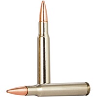 .30-06 Spr. Vital-Shok Barnes TSX 11,7g/180grs., Federal Ammunition