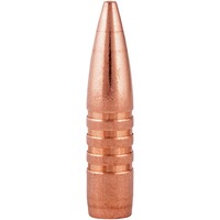 .30-06 Spr. Vital-Shok Barnes TSX 11,7g/180grs., Federal Ammunition