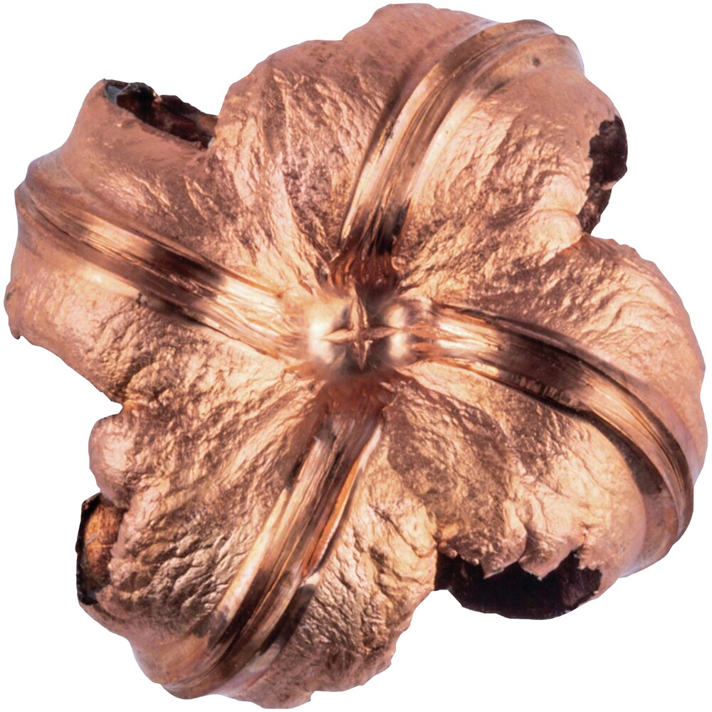 .30-06 Spr. Vital-Shok Barnes TSX 11,7g/180grs., Federal Ammunition