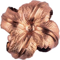 .30-06 Spr. Vital-Shok Barnes TSX 11,7g/180grs., Federal Ammunition