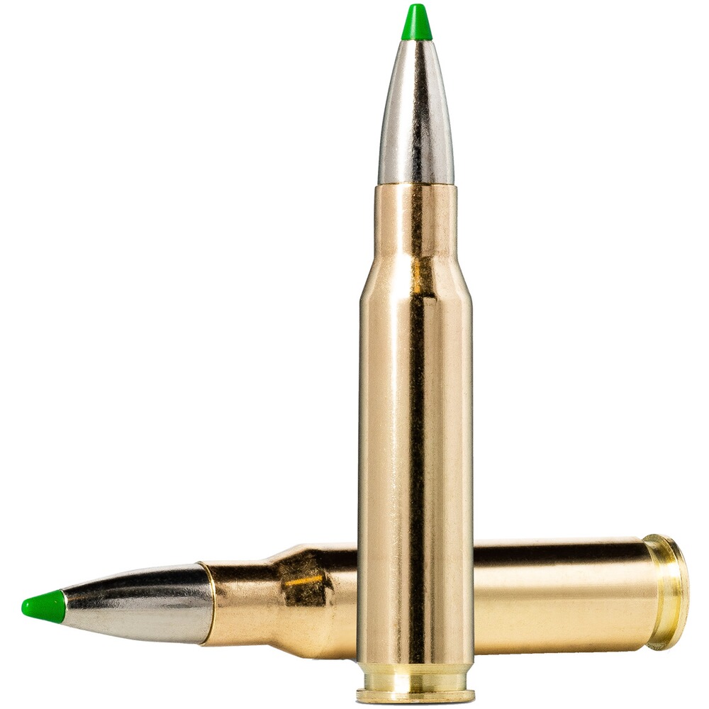 .308 Win. Ecostrike Silencer 9,7g/150grs., Norma