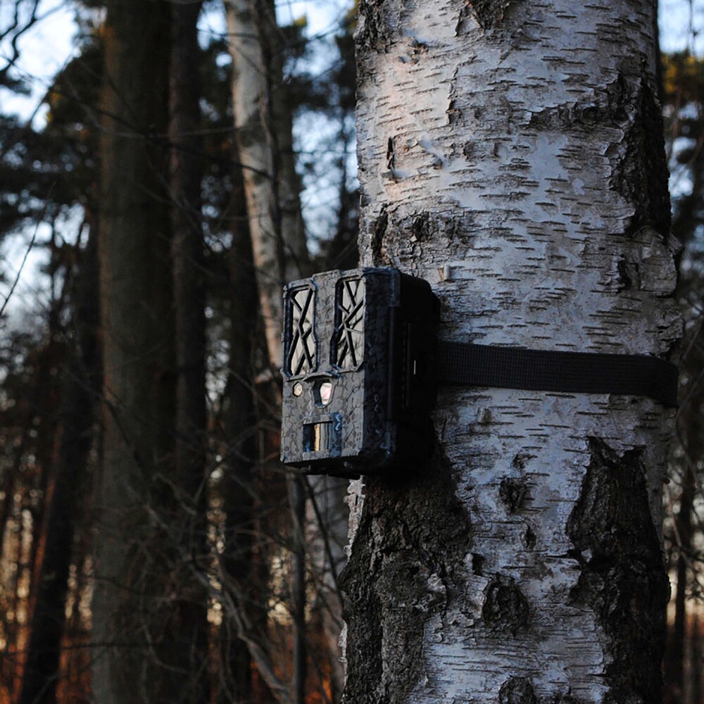 Wildkamera Force-Pro, Spypoint