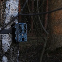 Wildkamera Force-Pro, Spypoint