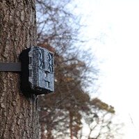 Wildkamera Force-Pro, Spypoint