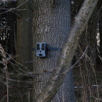 Wildkamera Force-Pro, Spypoint